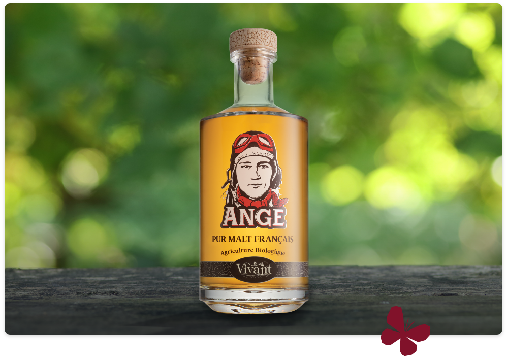 WHISKY SINGLE MALT 